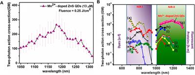 Frontiers Two Photon Absorption An Open Door To The Nir Ii